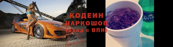 гидра Горнозаводск