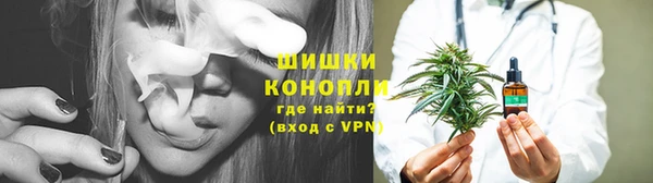 гидропоника Гусь-Хрустальный