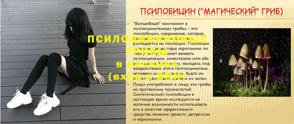 гидропоника Гусь-Хрустальный