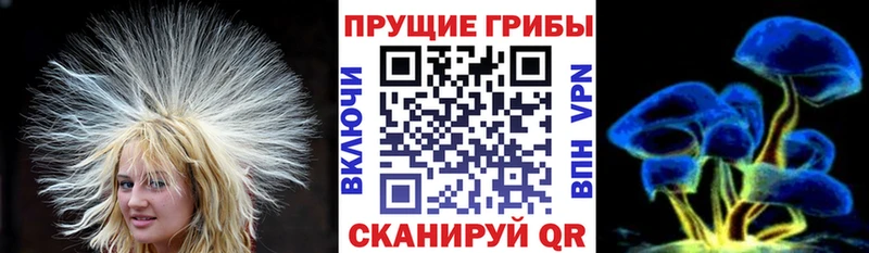 это официальный сайт  Кодинск  Псилоцибиновые грибы MAGIC MUSHROOMS 